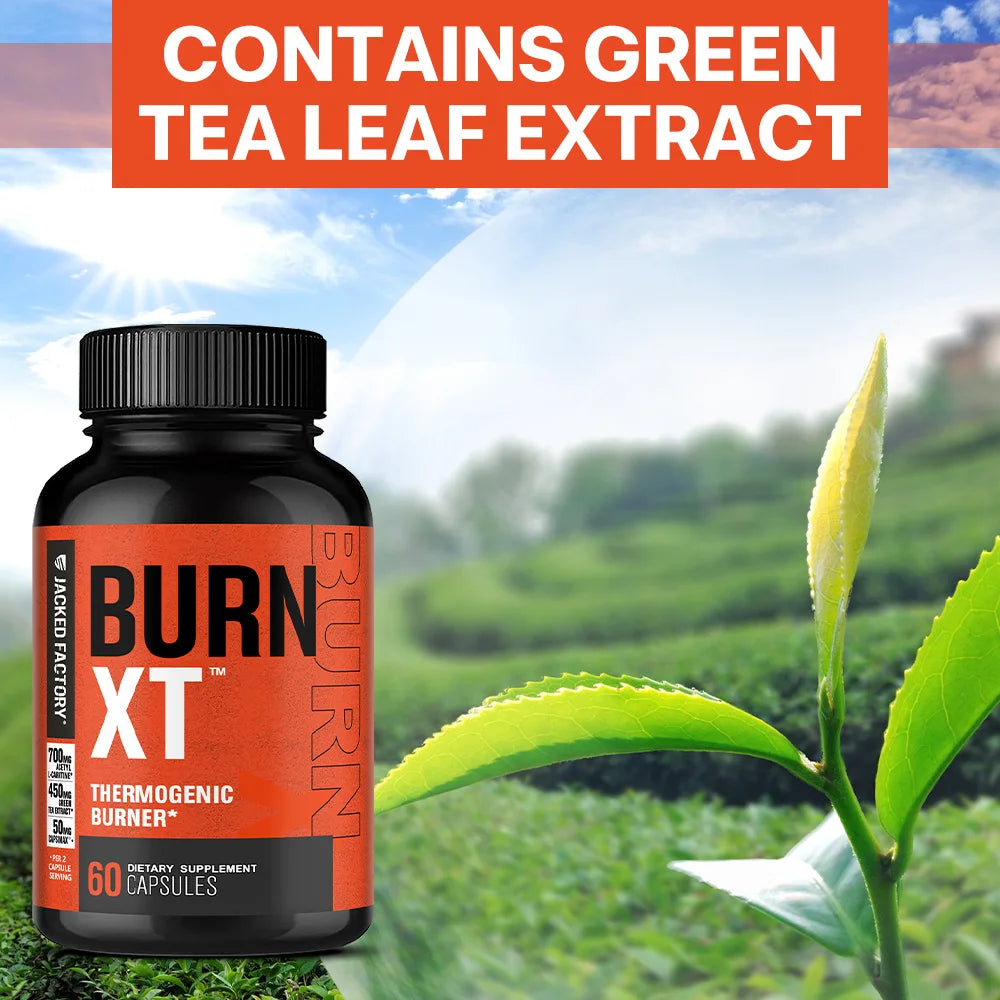 Burn-XT Weight Loss Supplement, Fat Burning, Metabolism Support - 60 capsule