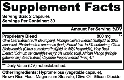 AP Health Wellness Hub JTP32META