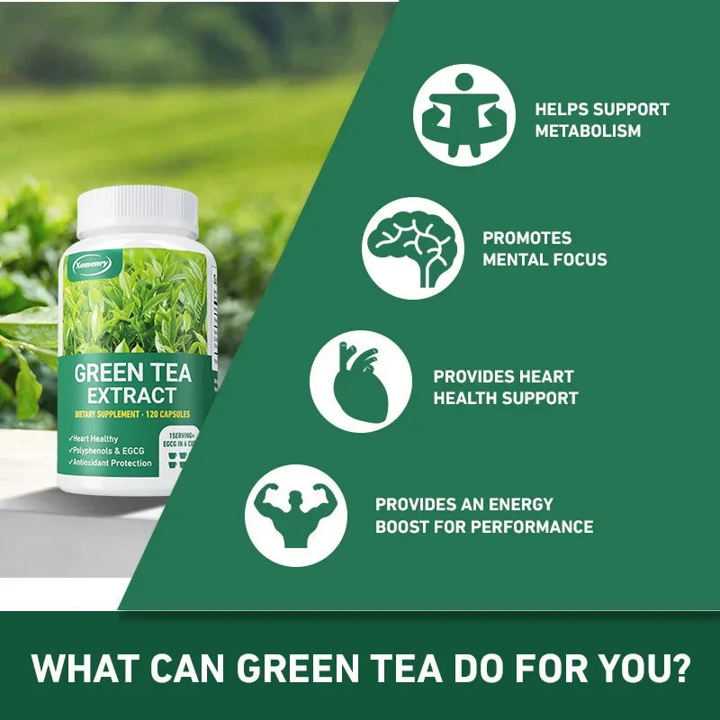 Green Tea Extract - Fast Fat Burning Supplement for Men and Women - Detox Metabolism Boosters, Burn Belly Fat Fast Supplement